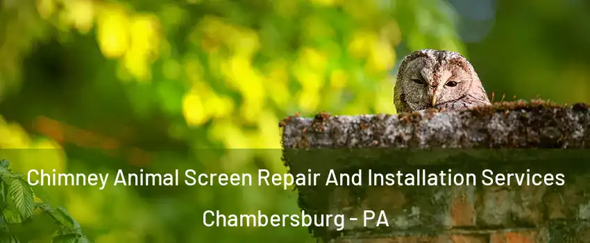  Chimney Animal Screen Repair And Installation Services Chambersburg - PA