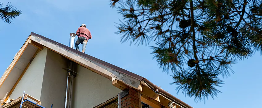 Birds Removal Contractors from Chimney in Chambersburg, PA