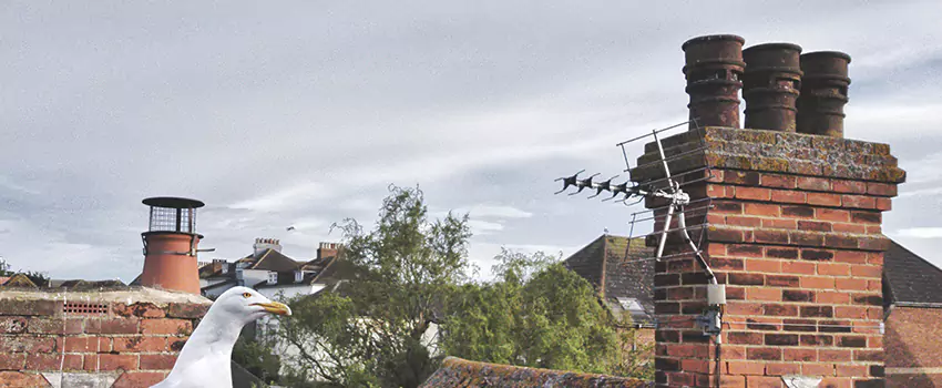 Chimney Cleaning And Restoration in Chambersburg, Pennsylvania