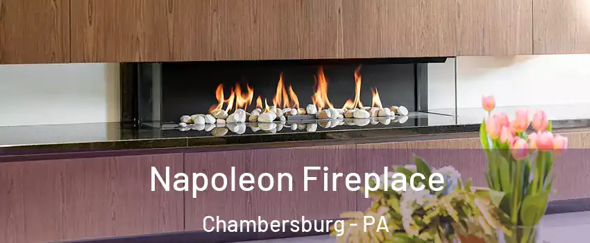  Napoleon Fireplace Chambersburg - PA